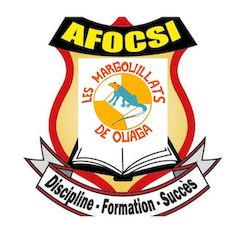 Partenariat LMDO / AFOCSI : bilan et&nbsp;perspectives