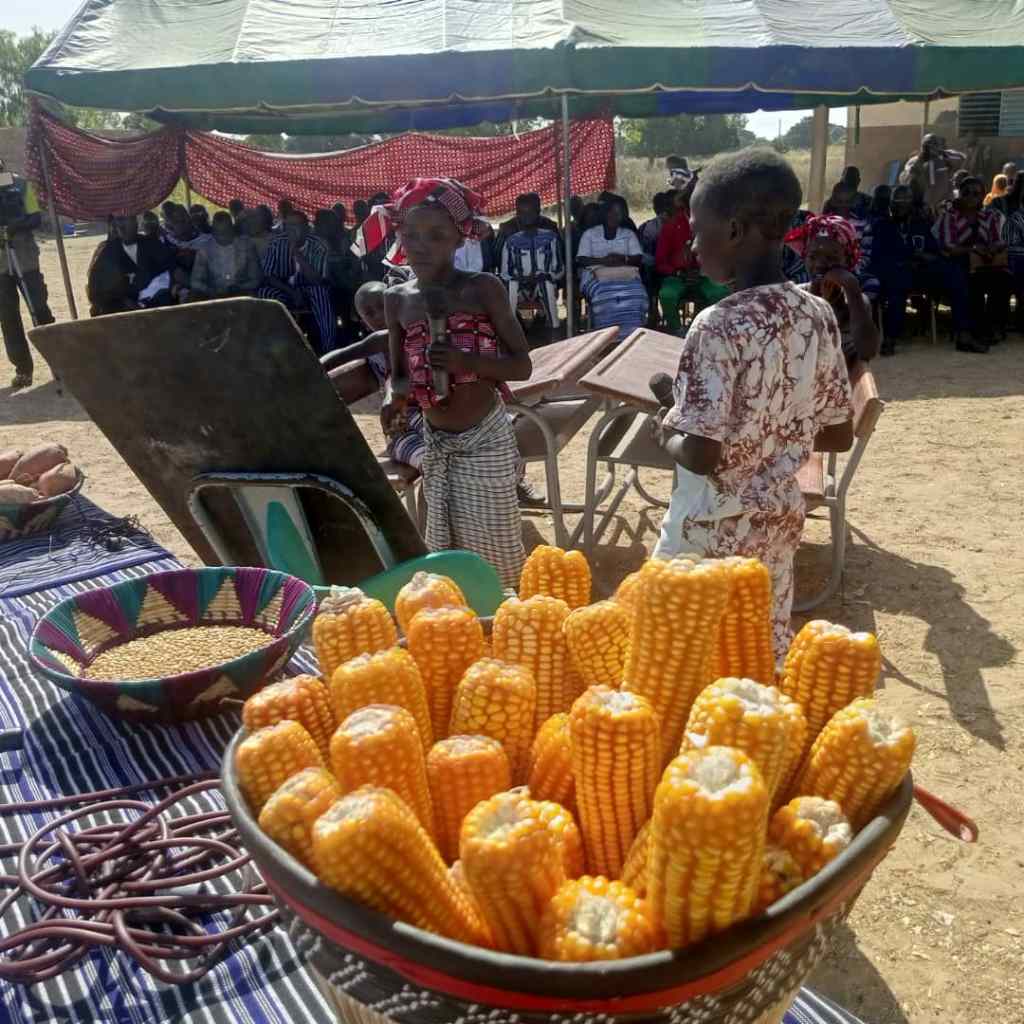 L&rsquo;école de Pibsé à&nbsp;l&rsquo;honneur